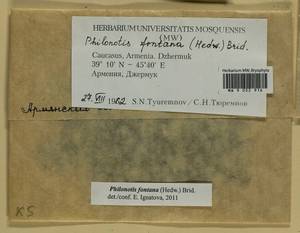 Philonotis fontana (Hedw.) Brid., Bryophytes, Bryophytes - Transcaucasia (B13) (Armenia)