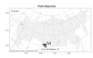 Viola disjuncta W. Becker, Atlas of the Russian Flora (FLORUS) (Russia)