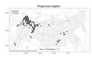 Pinguicula vulgaris L., Atlas of the Russian Flora (FLORUS) (Russia)