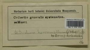 Ditrichum heteromallum (Hedw.) E. Britton, Bryophytes, Bryophytes (no precise locality) (B0)