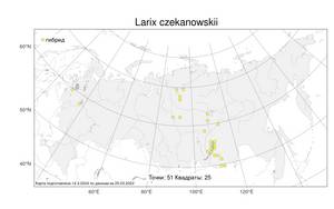 Larix czekanowskii Szafer, Atlas of the Russian Flora (FLORUS) (Russia)