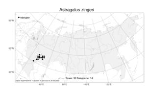 Astragalus zingeri Korsh., Atlas of the Russian Flora (FLORUS) (Russia)