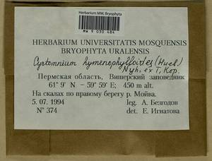 Cyrtomnium hymenophylloides (Huebener) T.J. Kop., Bryophytes, Bryophytes - Permsky Krai, Udmurt Republic, Sverdlovsk & Kirov Oblasts (B8) (Russia)