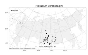 Hieracium veresczaginii Schischk. & Serg., Atlas of the Russian Flora (FLORUS) (Russia)