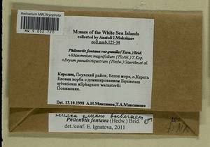 Philonotis fontana (Hedw.) Brid., Bryophytes, Bryophytes - Karelia, Leningrad & Murmansk Oblasts (B4) (Russia)