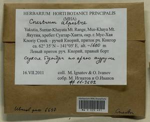 Cnestrum alpestre (Wahlenb.) Nyholm, Bryophytes, Bryophytes - Yakutia (B19) (Russia)