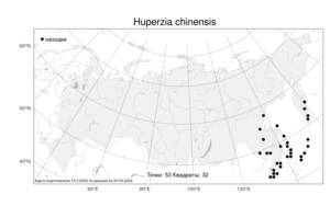 Huperzia chinensis (Christ) Ching, Atlas of the Russian Flora (FLORUS) (Russia)