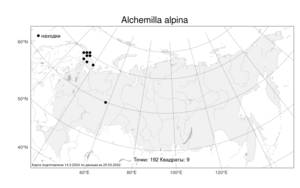 Alchemilla alpina L., Atlas of the Russian Flora (FLORUS) (Russia)