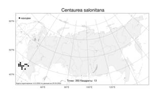 Centaurea salonitana Vis., Atlas of the Russian Flora (FLORUS) (Russia)