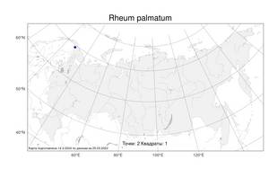 Rheum palmatum L., Atlas of the Russian Flora (FLORUS) (Russia)