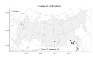Brasenia schreberi J. F. Gmel., Atlas of the Russian Flora (FLORUS) (Russia)