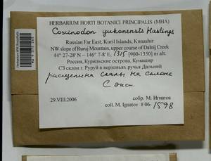 Coscinodon yukonensis Hastings, Bryophytes, Bryophytes - Russian Far East (excl. Chukotka & Kamchatka) (B20) (Russia)