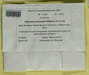 Husnotiella johansenii (R.S. Williams) J.A. Jiménez & M.J. Cano, Bryophytes, Bryophytes - Krasnoyarsk Krai, Tyva & Khakassia (B17) (Russia)