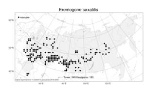 Eremogone saxatilis (L.) Ikonn., Atlas of the Russian Flora (FLORUS) (Russia)