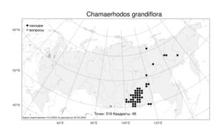 Chamaerhodos grandiflora (Pall. ex Schult.) Bunge, Atlas of the Russian Flora (FLORUS) (Russia)