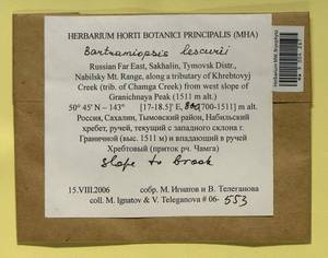 Bartramiopsis lescurii (James) Kindb., Bryophytes, Bryophytes - Russian Far East (excl. Chukotka & Kamchatka) (B20) (Russia)