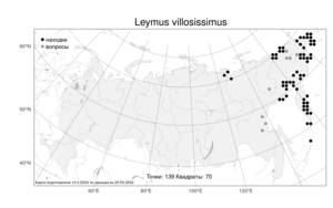 Leymus villosissimus (Scribn.) Tzvelev, Atlas of the Russian Flora (FLORUS) (Russia)