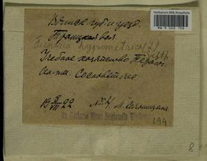 Funaria hygrometrica Hedw., Bryophytes, Bryophytes - Permsky Krai, Udmurt Republic, Sverdlovsk & Kirov Oblasts (B8) (Russia)