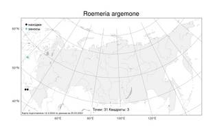 Roemeria argemone (L.) C. Morales, R. Mend. & Romero García, Atlas of the Russian Flora (FLORUS) (Russia)