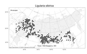 Ligularia sibirica (L.) Cass., Atlas of the Russian Flora (FLORUS) (Russia)