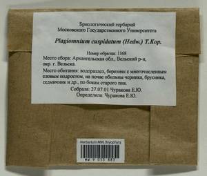 Plagiomnium cuspidatum (Hedw.) T.J. Kop., Bryophytes, Bryophytes - European North East (B7) (Russia)