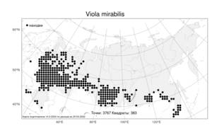 Viola mirabilis L., Atlas of the Russian Flora (FLORUS) (Russia)