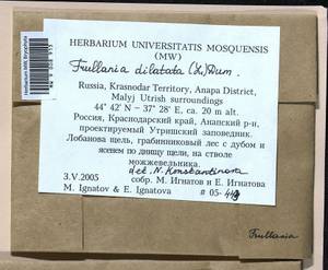 Frullania dilatata (L.) Dumort., Bryophytes, Bryophytes - North Caucasus & Ciscaucasia (B12) (Russia)