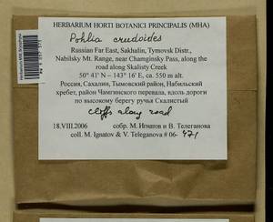 Pohlia crudoides (Sull. & Lesq.) Broth., Bryophytes, Bryophytes - Russian Far East (excl. Chukotka & Kamchatka) (B20) (Russia)