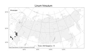 Linum hirsutum L., Atlas of the Russian Flora (FLORUS) (Russia)