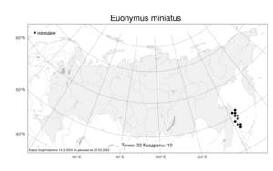 Euonymus sachalinensis (F. Schmidt) Maxim., Atlas of the Russian Flora (FLORUS) (Russia)