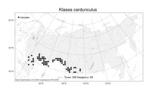 Klasea cardunculus (Pall.) Holub, Atlas of the Russian Flora (FLORUS) (Russia)