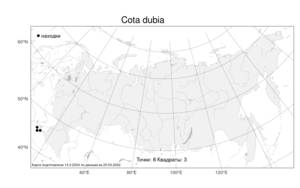Cota dubia (Steven) Holub, Atlas of the Russian Flora (FLORUS) (Russia)