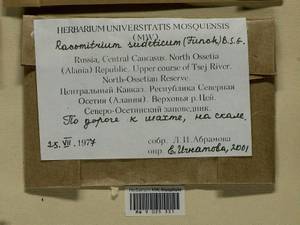 Bucklandiella sudetica (Funck) Bedn.-Ochyra & Ochyra, Bryophytes, Bryophytes - North Caucasus & Ciscaucasia (B12) (Russia)