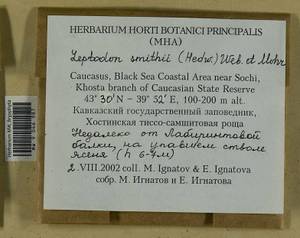 Leptodon smithii (Dicks. ex Hedw.) F. Weber & D. Mohr, Bryophytes, Bryophytes - North Caucasus & Ciscaucasia (B12) (Russia)