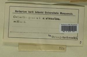 Lewinskya affinis (Brid.) F. Lara, Garilleti & Goffinet, Bryophytes, Bryophytes - Western Europe (BEu) (Not classified)