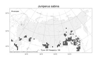 Juniperus sabina L., Atlas of the Russian Flora (FLORUS) (Russia)