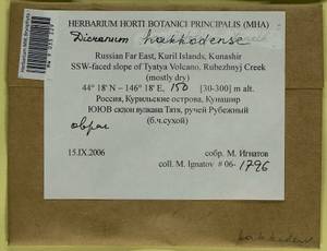 Dicranum viride var. hakkodense (Cardot) Takaki, Bryophytes, Bryophytes - Russian Far East (excl. Chukotka & Kamchatka) (B20) (Russia)