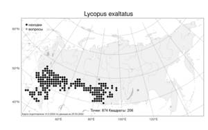 Lycopus exaltatus L.f., Atlas of the Russian Flora (FLORUS) (Russia)