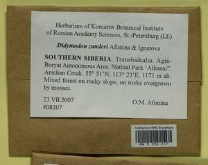 Husnotiella rufidula (Müll. Hal.) J.A. Jiménez & M.J. Cano, Bryophytes, Bryophytes - Baikal & Transbaikal regions (B18) (Russia)