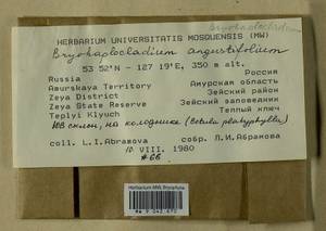 Haplocladium angustifolium (Hampe & Müll. Hal.) Broth., Bryophytes, Bryophytes - Russian Far East (excl. Chukotka & Kamchatka) (B20) (Russia)