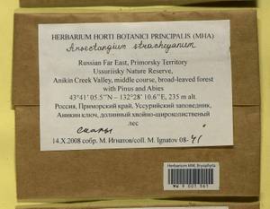 Anoectangium stracheyanum Mitt., Bryophytes, Bryophytes - Russian Far East (excl. Chukotka & Kamchatka) (B20) (Russia)