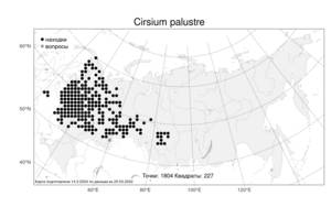 Cirsium palustre (L.) Scop., Atlas of the Russian Flora (FLORUS) (Russia)