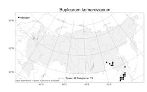 Bupleurum komarovianum O. A. Lincz., Atlas of the Russian Flora (FLORUS) (Russia)