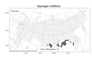 Aquilegia viridiflora Pall., Atlas of the Russian Flora (FLORUS) (Russia)