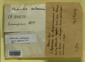 Philonotis calcarea (Bruch & Schimp.) Schimp., Bryophytes, Bryophytes - South Urals (B14) (Russia)