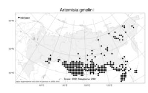 Artemisia gmelinii Weber ex Stechm., Atlas of the Russian Flora (FLORUS) (Russia)