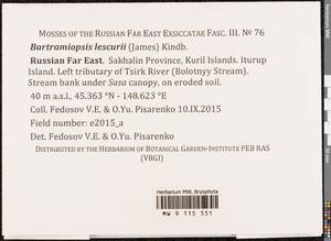 Bartramiopsis lescurii (James) Kindb., Bryophytes, Bryophytes - Russian Far East (excl. Chukotka & Kamchatka) (B20) (Russia)