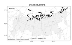 Draba pauciflora R.Br., Atlas of the Russian Flora (FLORUS) (Russia)
