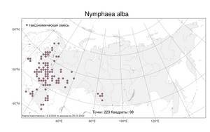 Nymphaea alba L., Atlas of the Russian Flora (FLORUS) (Russia)