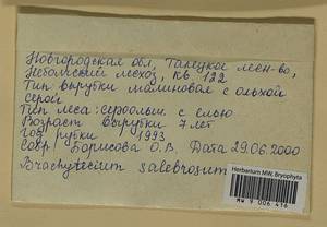 Brachythecium salebrosum (Hoffm. ex F. Weber & D. Mohr) Schimp., Bryophytes, Bryophytes - Novgorod & Pskov Oblasts (B5) (Russia)